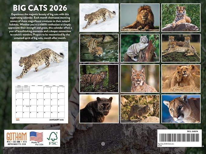Wild Big Cats Calendar 2026 Wildlife Monthly Wall Calender 12 Month | American Made In The USA