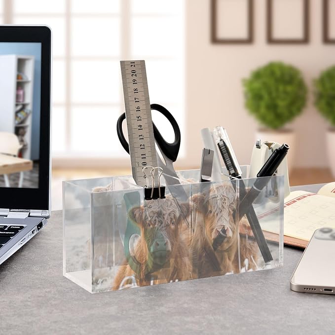 Cattle Highland Cow Acrylic Pen Holder 4 Compartments with Prints, Desktop Makeup Brush Organizer Cutlery Acrylic Organizer Pencil Plastic Organizer Personalized Printed Pen Holder