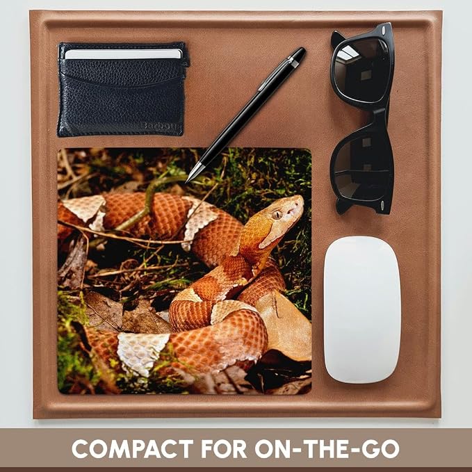 3D Rose "Broadbanded Copperhead SnakeNa02 Dno0909David Northcott" Matte Finish Mouse Pad - 8 x 8" - mp_140193_1