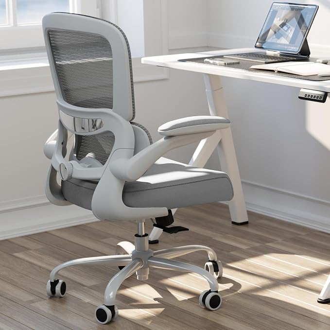 TRALT Office Chair - Ergonomic Desk Chair with Adjustable Lumbar Support, Mesh Computer Chair, Executive Chair for Home Office Comfortable Lumbar Support (1, Ash Gray)