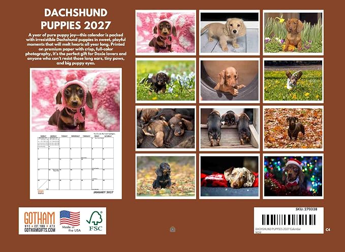 Dachshund Puppy Calendar 2027 Monthly Wall Calender 12 Month