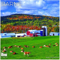 Barns 2027 Wall Calendar, 12 x 24 Hanging Pacific Waters Press