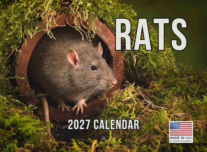 Rat Calendar 2027 Monthly Wall Calender 12 Month