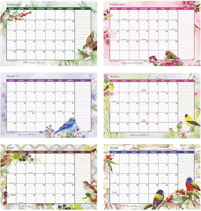 Current 2026-2027 Year of Birds Desk Calendar Pad, 11-Inch x 16-1/4-Inch Size, Large 24-Month Bookstore-Quality Calendars for Kitchen & Office
