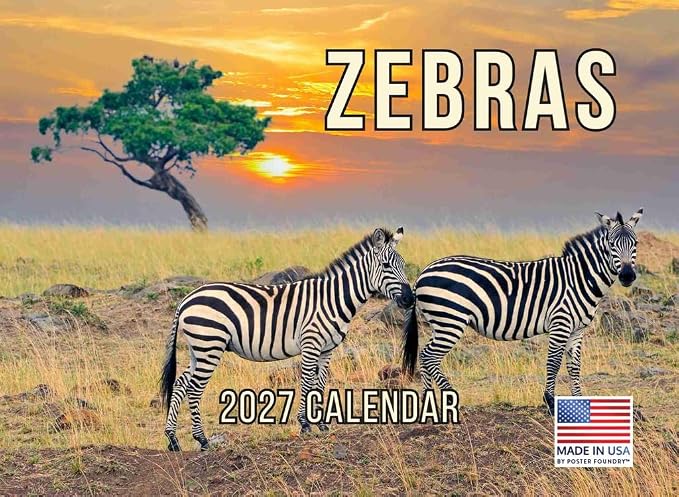 Zebra Calendar 2027 Monthly Wall Calender 12 Month