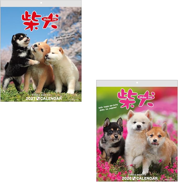 Shiba Inu Wall Calendar 2026-2027 Set, Cute Puppy Photos, Japanese Scenery