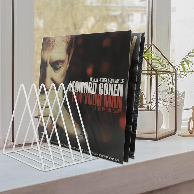 Vinyl Record Holder Storage, 9 Slot Metal Magazine Book Album Display Rack, Stylish Triangle Desktop File Sorter Organizer for Home Office, White