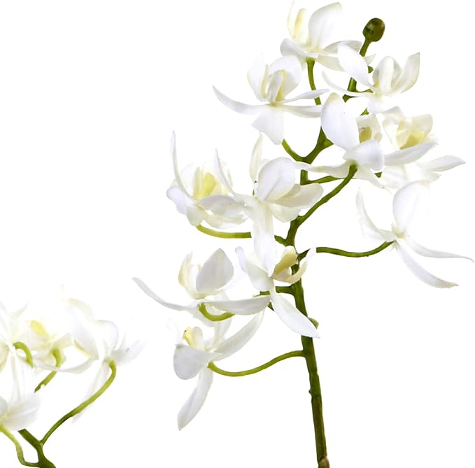 Nearly Natural 20 in Artificial Orchid Succulent Floral Garden Room Decor | Striking Combination of Orchids and Succulents, Interesting Driftwood-Like Creation, Decorative Vase, Home and Office Accent