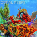 Coral Reefs 2027 Wall Calendar, 12 x 24 Hanging Pacific Waters Press