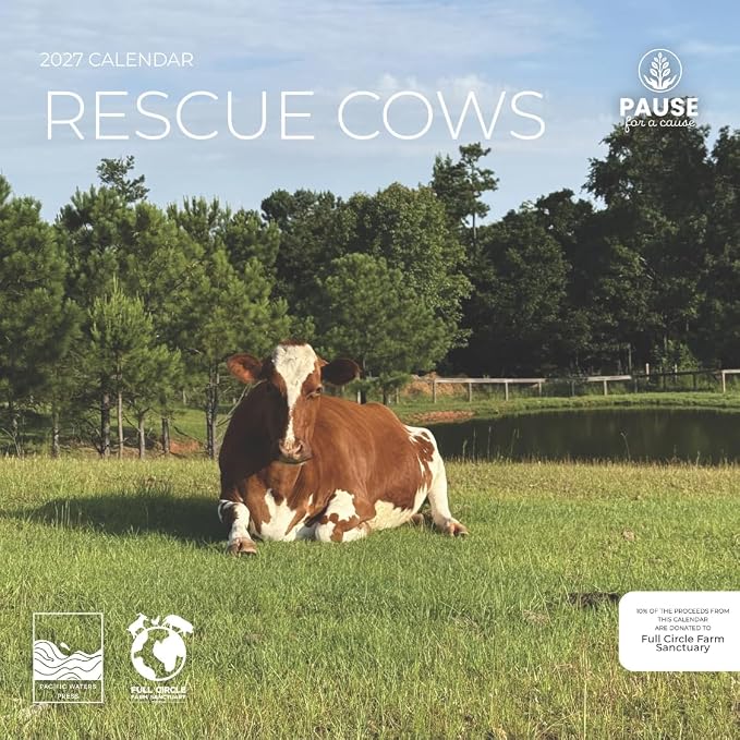 Rescue Cows 2027 Wall Calendar, 12 x 24 Hanging Pacific Waters Press