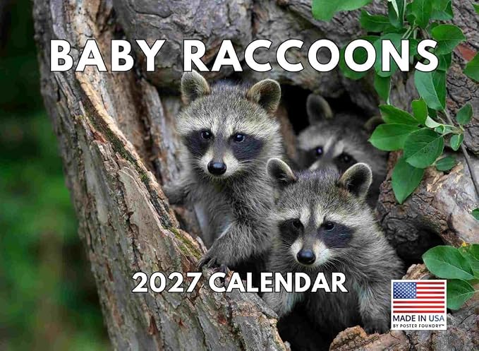 Cute Baby Raccoon Calendar 2027 Monthly Wall Calender 12 Month
