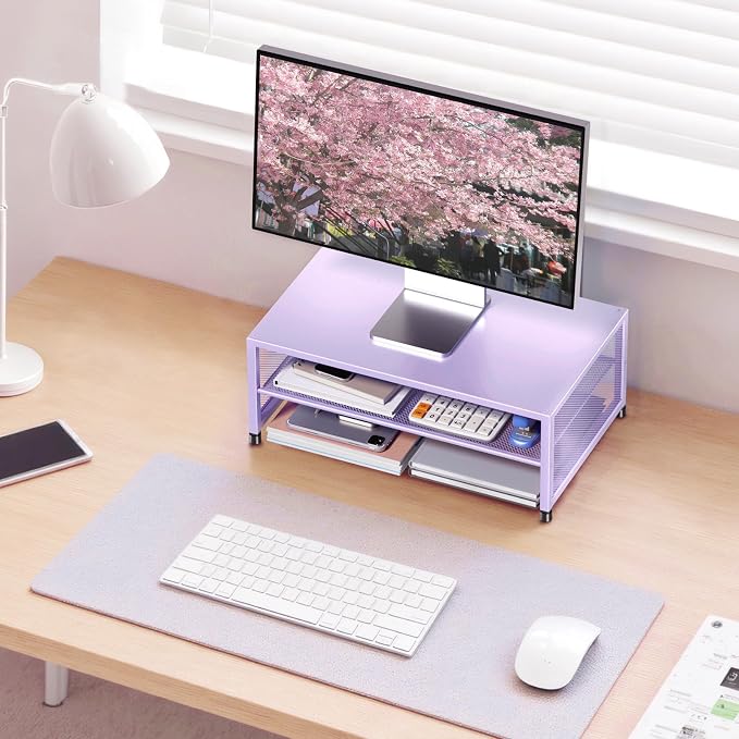 ECOLOVI 2-Tier Computer Monitor Stand Riser, Printer & Laptop Stand, Office Desk Accessories, Workspace Desk Organizer for Home Office Supplies, Purple
