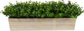 19in. Eucalyptus Artificial Plant in Decorative Planter | Lifelike Green Leaves, Maintenance-Free, Housed in a Decorative Planter, Ideal for Desk or Office Decor