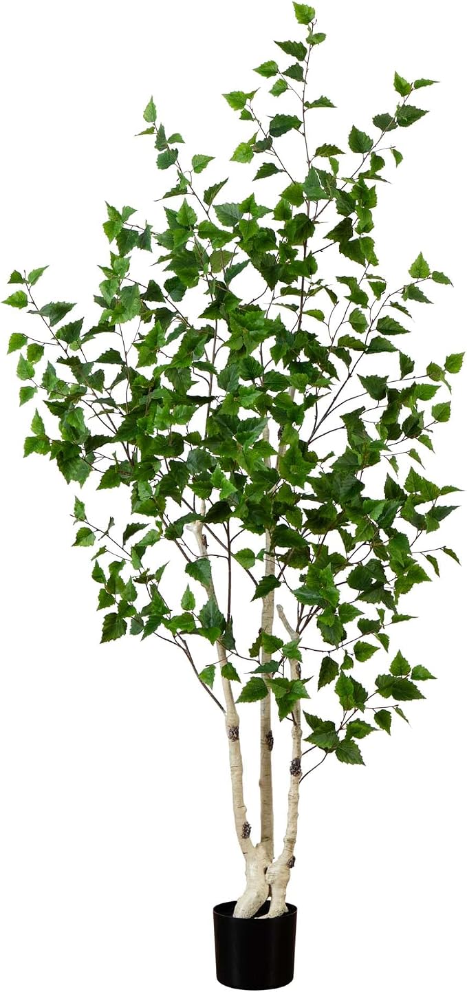 Nearly Natural 6 ft Artificial Birch Tree with Real Touch Leaves and Pot | Bendable Branches, Light-Hued Bark, Nursery Planter Included, Indoor Corner Decor, Maintenance-Free foliage
