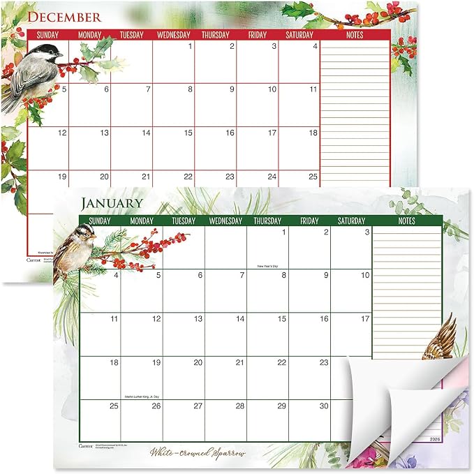 Current 2026-2027 Year of Birds Desk Calendar Pad, 11-Inch x 16-1/4-Inch Size, Large 24-Month Bookstore-Quality Calendars for Kitchen & Office