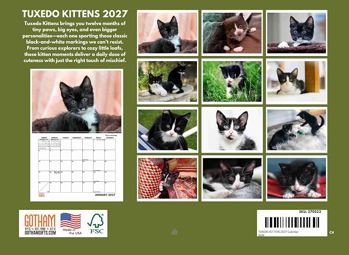 Tuxedo Kitten Calendar 2027 Monthly Wall Calender 12 Month