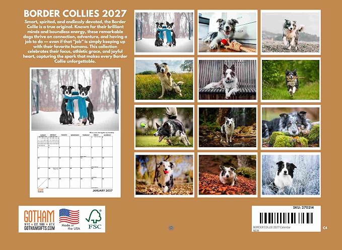 Border Collie Calendar 2027 Monthly Wall Calender 12 Month | American Made In The USA