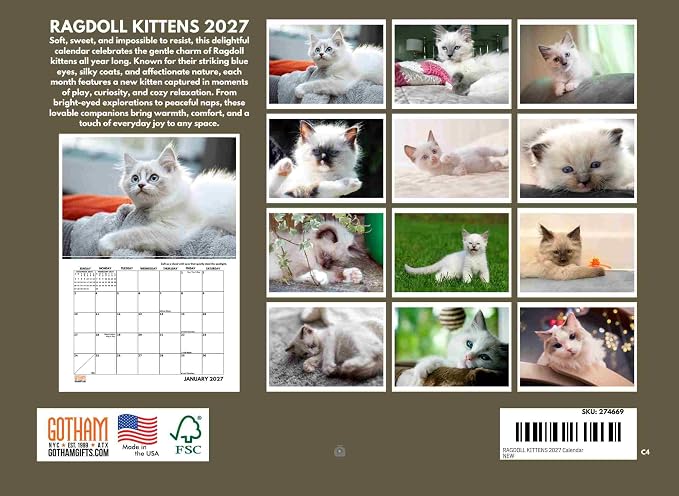 Ragdoll Calendar 2027 Kitten Monthly Wall Calender 12 Month