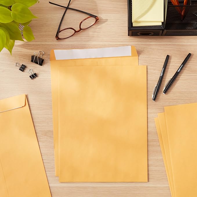 Amazon Basics Catalog Self Seal Mailing Envelopes, Peel and Seal, 10" x 13", Brown Kraft, 250-Pack