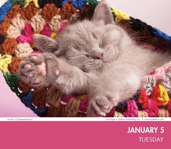 Cat Naps 2027 Daily Desk Calendar: Boxed Page-a-Day Cute Cat Photo Calendar with Day-to-Day Adorable Sleeping Kittens & Funny Feline Captions