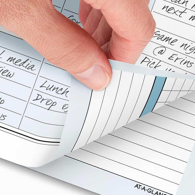 AT-A-GLANCE 2026 Planner, Daily & Monthly, 5.5" x 8.5", Desk Size 4, Two Page Per Day Refill, Loose-Leaf, Zenscapes (281-225-26)