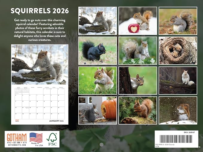 Squirrel Calendar 2026 Wall 12 Month Squirrels Gifts For Squirrel Lovers Women Men Monthly Calender| American Made In The USA