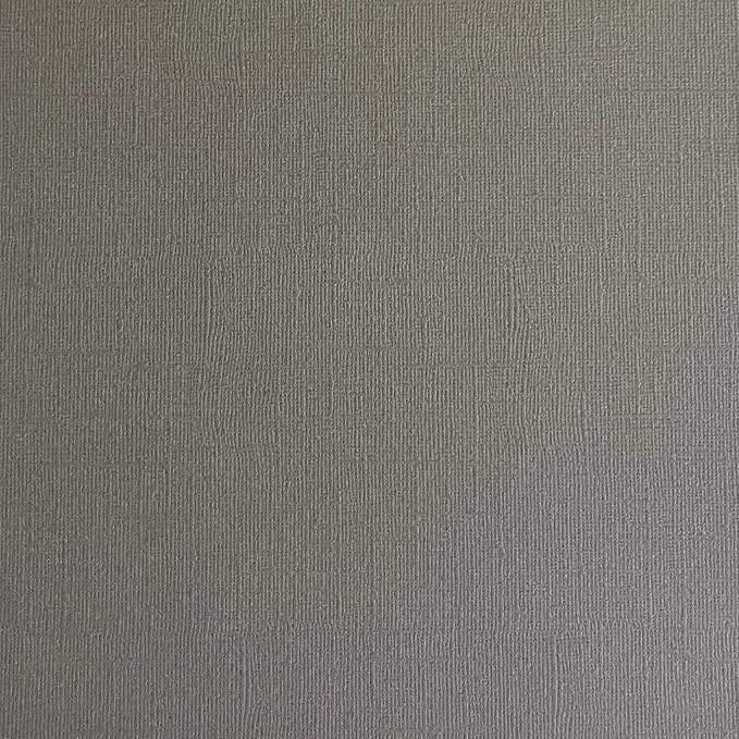 Dolphin—12x12 Textured Cardstock | 80lb Textured Gray Scrapbook Paper | Premium Cardstock for Cricut Cutting | 25 Sheets