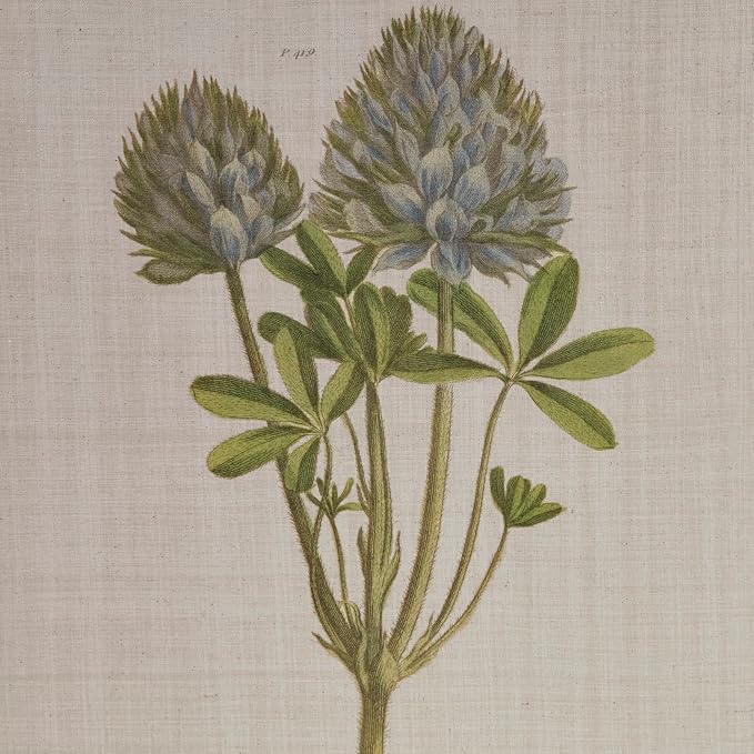 Madison Park Botanical Wall Art Living Room Decor - Vintage Floral Linen Canvas Framed Wall Art Farmhouse Lifestyle Home Office Wall Decor, Ready to Hang Painting for Bedroom, Herbal, Green 4 Piece