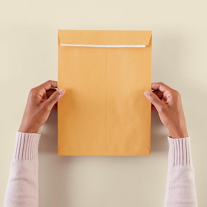 Amazon Basics Catalog Self Seal Mailing Envelopes for Documents, Peel and Seal, 9" x 12", Brown Kraft, 250-Pack
