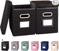 2 Pack Hanging File Folders Organizer with Lid, Letter Size Fabric File Storage Box Collapsible, Portable Office Document Holder with Metal Handle, Smooth PVC Rails, Black