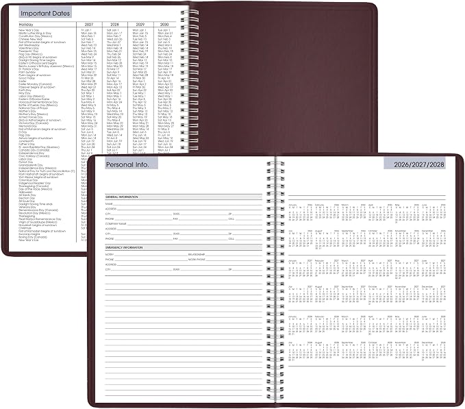 AT-A-GLANCE 2027 Appointment Book Planner, Weekly, 8" x 11", Quarter-Hourly, DayMinder, Burgundy (G5201427)