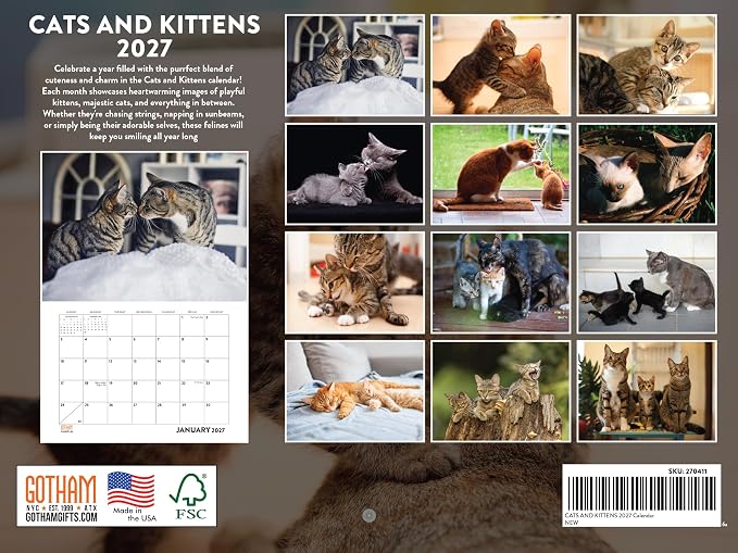 Cats And Kittens Calendar 2027 Monthly Wall Calender 12 Month
