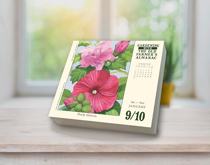 The Old Farmer's Almanac 2027 Daily Desk Calendar: Boxed Page-a-Day Gardening Calendar with Day-to-Day Tips, Folklore, Advice & Planting Secrets