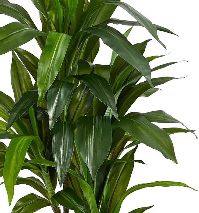 Nearly Natural 48 in Artificial Dracaena Real Touch Plant with Pot | Multi-Tonal Trunks, Large Indoor Silk Plant, Maintenance-Free, Living Room and Home Office Decor