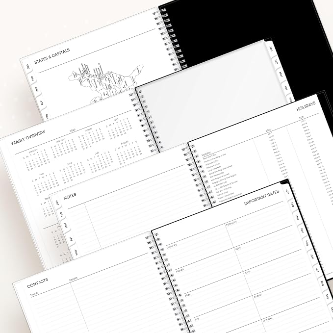 Blue Sky 2026 Weekly & Monthly Planner Calendar, 8.5"x11", Analeis