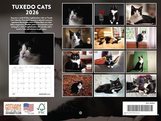 Tuxedo Cat Calendar 2026 Monthly Wall Calender 12 Month Gifts For Tuxedo Cats Lovers| American Made In The USA