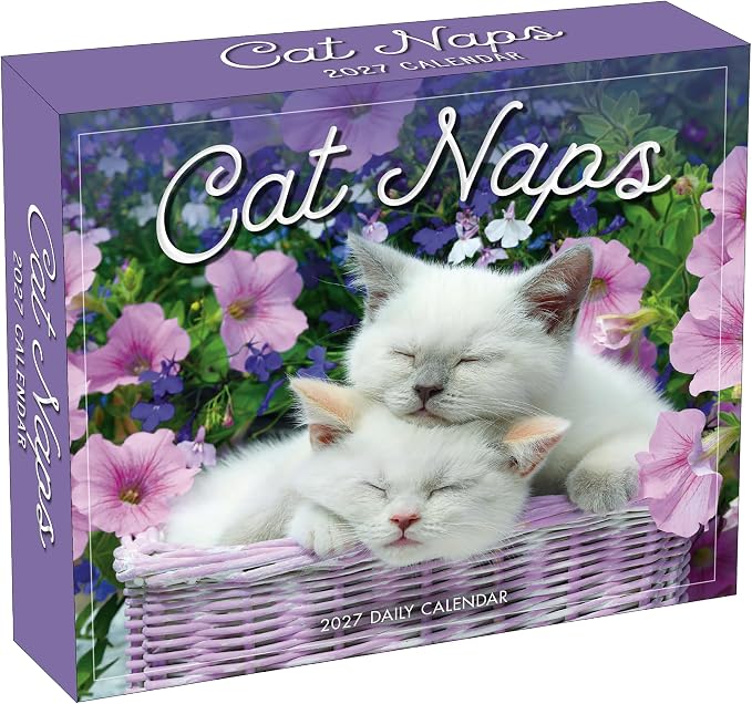 Cat Naps 2027 Daily Desk Calendar: Boxed Page-a-Day Cute Cat Photo Calendar with Day-to-Day Adorable Sleeping Kittens & Funny Feline Captions
