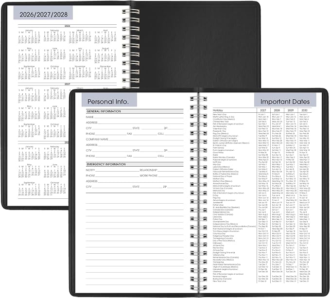 AT-A-GLANCE 2027 Appointment Book Planner, Weekly, 5" x 8", DayMinder, Black (G2000027)