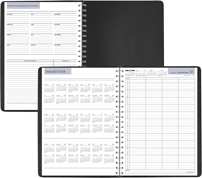 AT-A-GLANCE 2027 Appointment Book Planner, Daily Group Planner, 8" x 11", Four Person, Quarter-Hour, DayMinder, Black (G5600027)