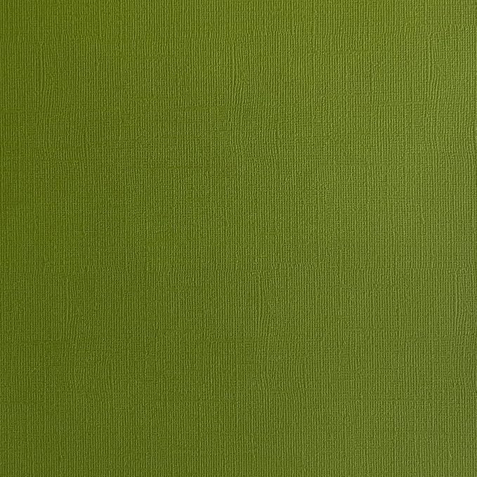 Cactus—12x12 Textured Cardstock | 80lb Textured Green Scrapbook Paper | Premium Cardstock for Cricut Cutting | 25 Sheets