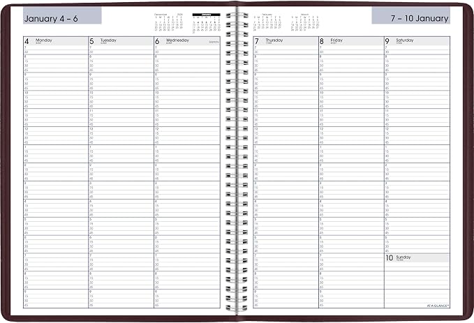 AT-A-GLANCE 2027 Appointment Book Planner, Weekly, 8" x 11", Quarter-Hourly, DayMinder, Burgundy (G5201427)