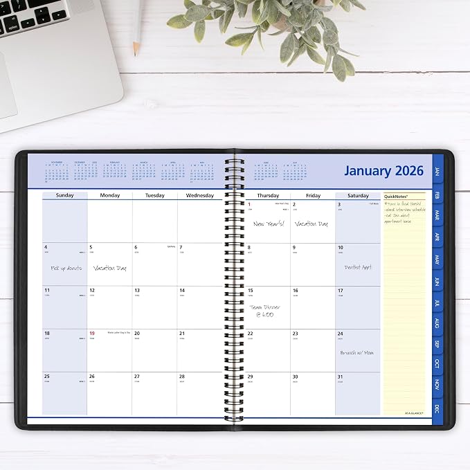 AT-A-GLANCE 2026 Appointment Book Planner, Monthly, 8-1/4" x 11", Large, QuickNotes, Black (76060526)