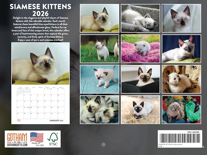 Siamese Kitten Calendar 2026 Cat Monthly Wall Calender 12 Month | American Made In The USA