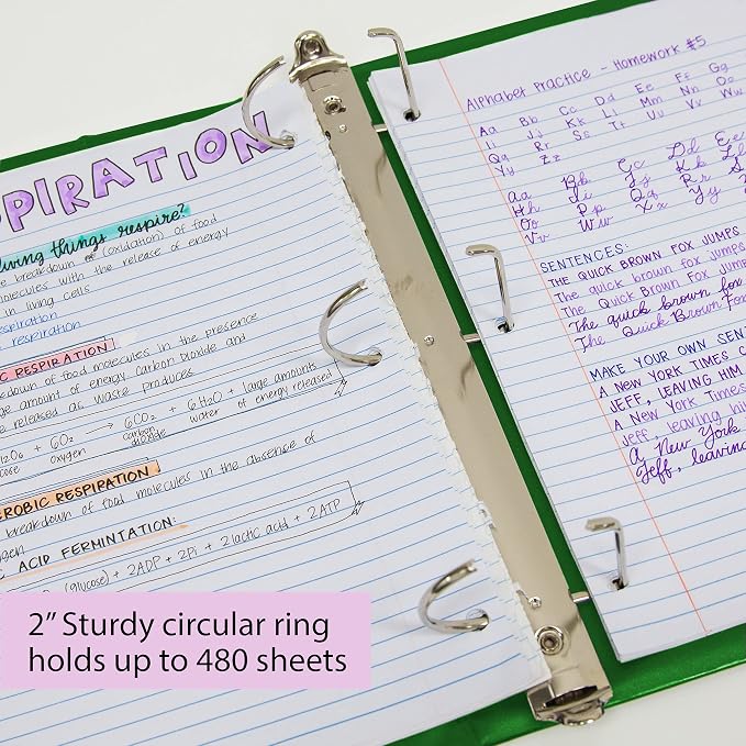 BAZIC Products 2" Green 3-Ring View Binder, Slant-D Ring, 2 Pockets, 2-Pack | 2 inside pockets, 2 in Green view 3-ring binder, slant-D rings, holds up to 480 sheets, Durable poly cover, 2 Pockets