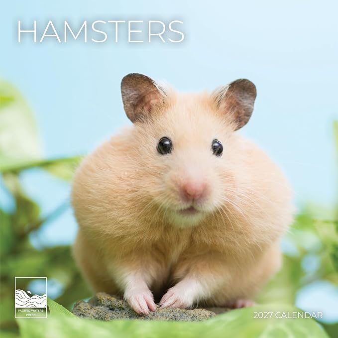Hamsters 2027 Wall Calendar, 12 x 24 Hanging Pacific Waters Press