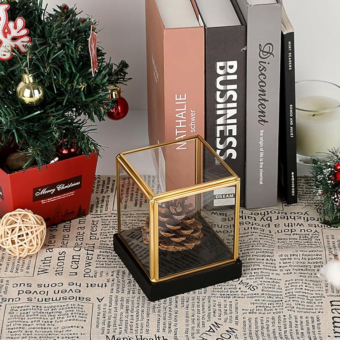 Hipiwe Clear Glass Display Box Case for Collectibles with Black Wood Base | Vintage Gold Display Case for Plants Action Figurine Models Keepsake Boxes, Square, 3.3x3.3x3.6 Inch