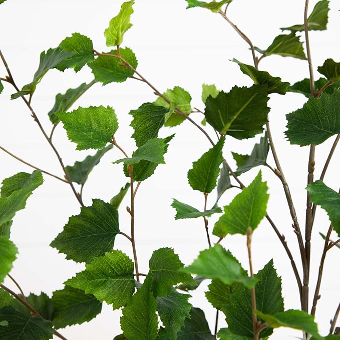 Nearly Natural 4 ft Artificial Birch Tree Real-Touch Leaves Indoor Plant | Nature-Inspired Detail, Light-Hued Bark, Flexible Branches, Stable Nursery Planter Included, Modern Living Room Decor Accent