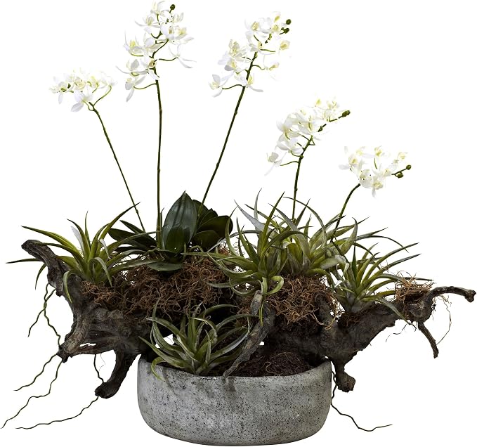 Nearly Natural 20 in Artificial Orchid Succulent Floral Garden Room Decor | Striking Combination of Orchids and Succulents, Interesting Driftwood-Like Creation, Decorative Vase, Home and Office Accent