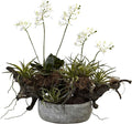 Nearly Natural 20 in Artificial Orchid Succulent Floral Garden Room Decor | Striking Combination of Orchids and Succulents, Interesting Driftwood-Like Creation, Decorative Vase, Home and Office Accent