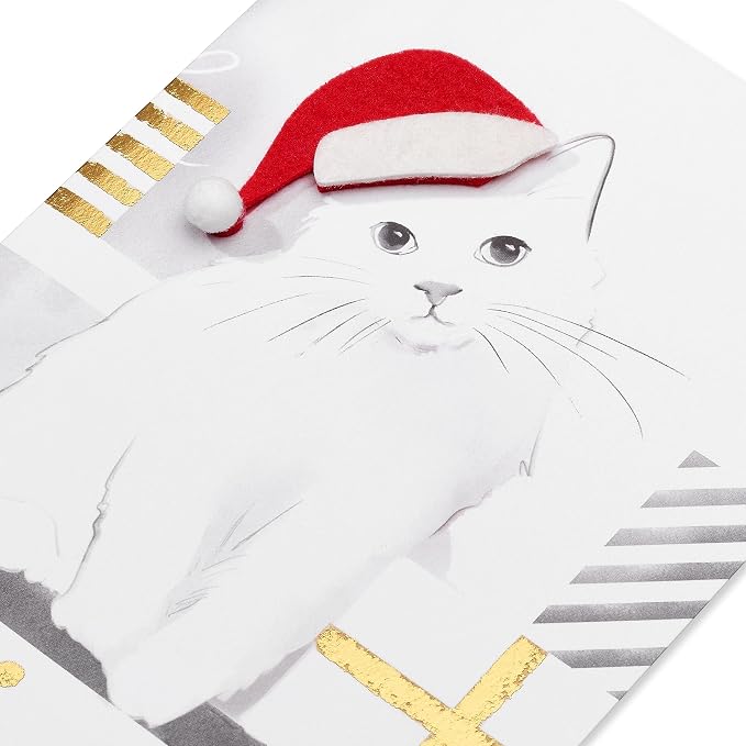 Papyrus Cat Christmas Cards Boxed with Envelopes, Merry Christmas and a Happy New Year, Santa Hat Kitty (8-Count)
